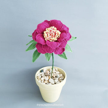 Peony Sword Dance