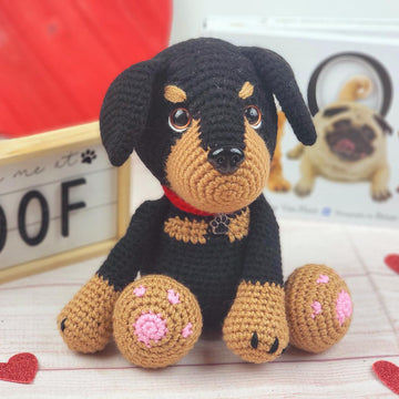 Rambo the Rottweiler