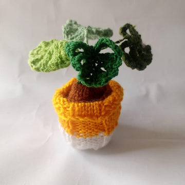 Monstera Basket