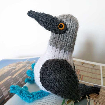 Blue Footed Booby Toy