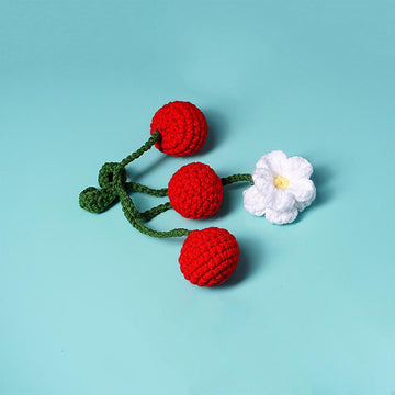 Cherry Daisy Car Hanging
