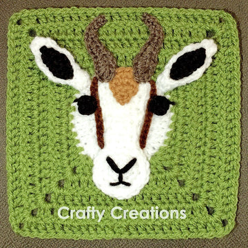 Springbok Granny Square