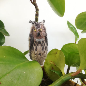 Owls