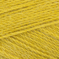 Hip (2152)