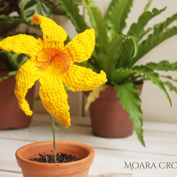 Crochet Lily