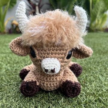 Baby Highland Cows