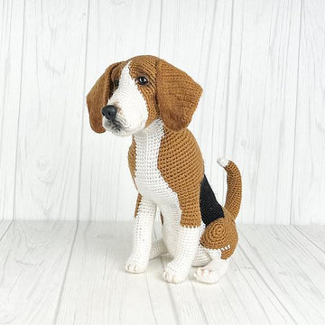 Beagle Dog