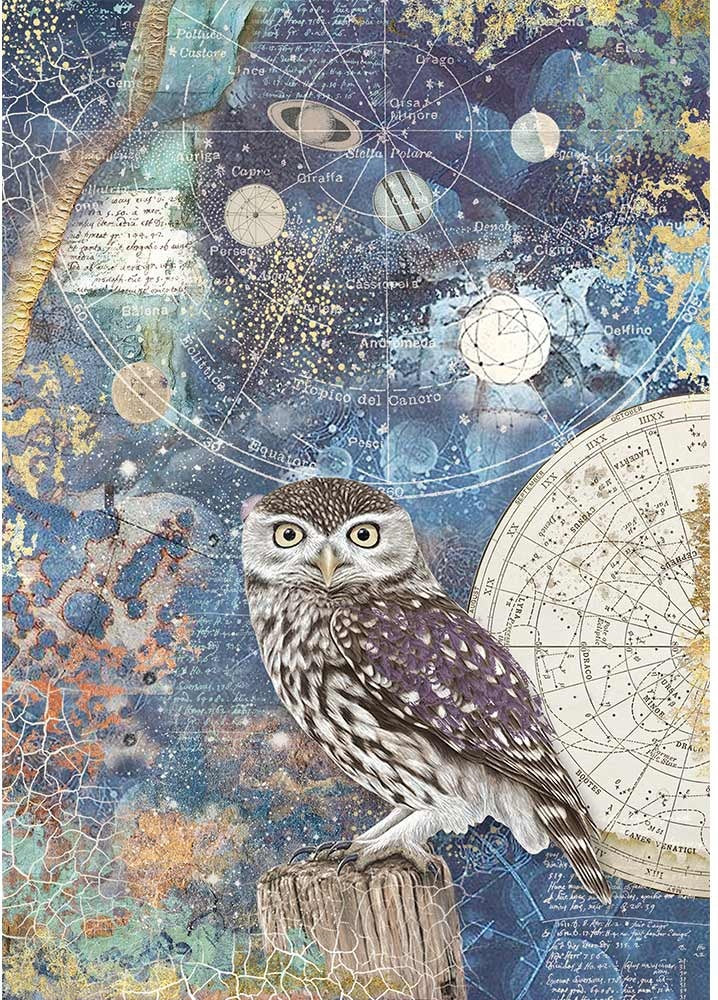 Stamperia Intl Stamperia Rice Paper Sheet A4 - Cosmos Owl