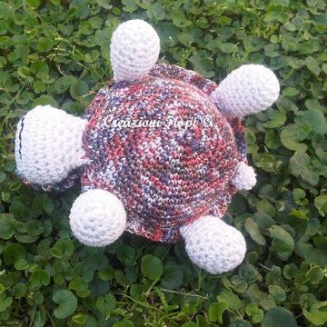 Miss Turtle