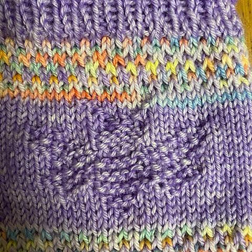 Rainbeeow socks