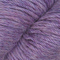 Fall Aster (1008)