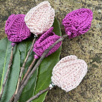 Pretty Tulips