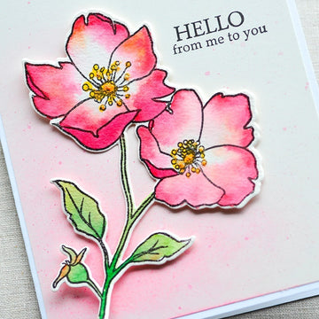 Memory Box Stamp & Die Set - Wild Rose Stem