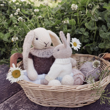 2 Little bunny: Bridget and Sebastian