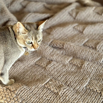Easy Circle Illusion Knitted Blanket