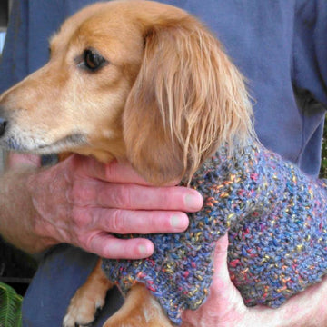 Lena's Cozy Brioche Miniature Dachshund Dog Sweater