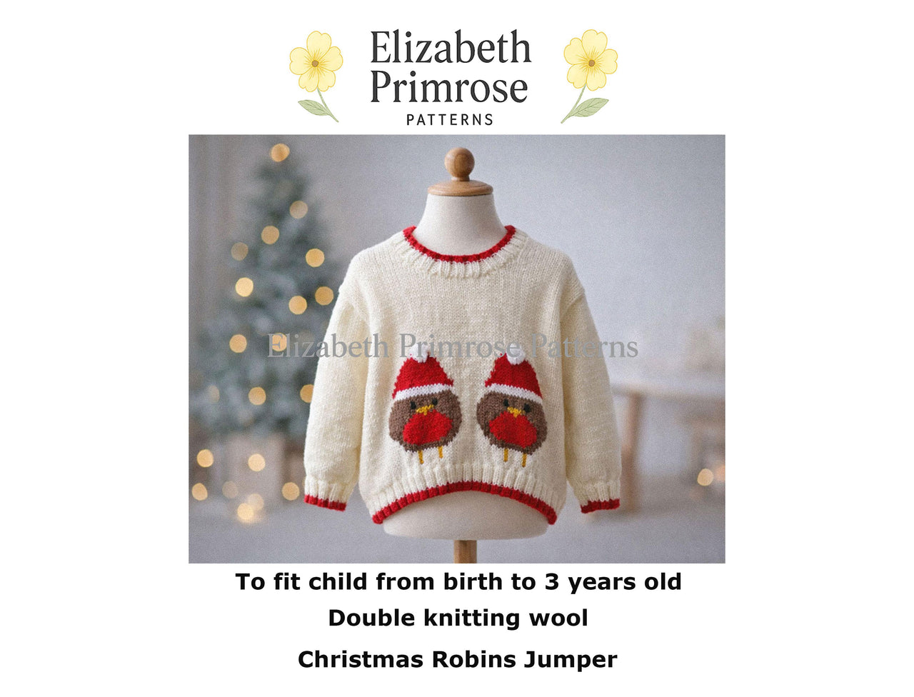Christmas Robins Jumper P13