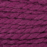 Raspberry (13)