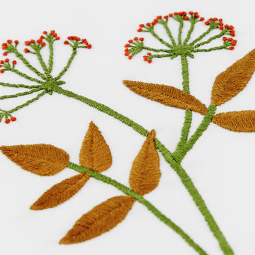 Coriander in DMC - PAT0320 - Downloadable PDF