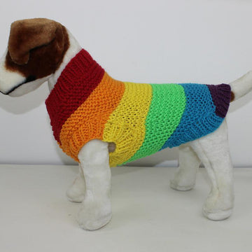Chunky Spectrum Dog Coat