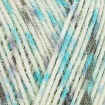 Chalkhill blue (1242)
