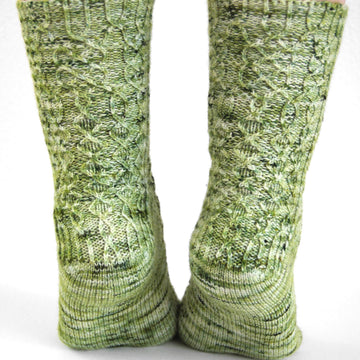 Willowbug MKAL