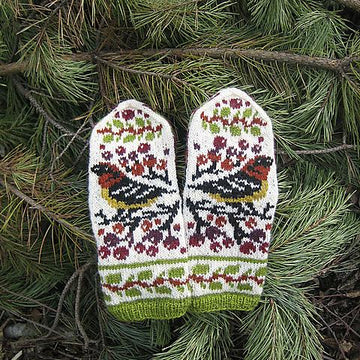Birds and Berries
