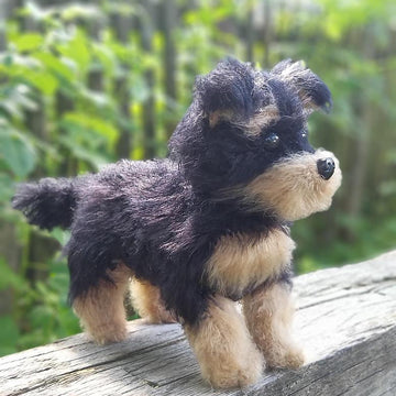 Dog Yorkshire Terrier