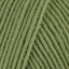 Light Green (40)
