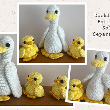 Mummy Duck