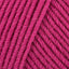Fuchsia (34)