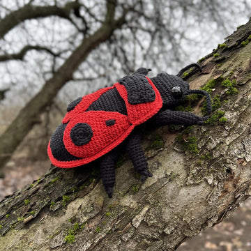 Red Firebug