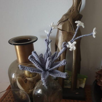 Succulent Trio