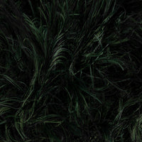 Fir (4210)