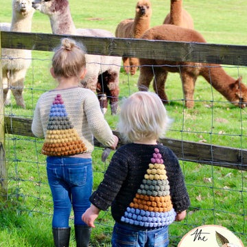 The Prism Cardigan