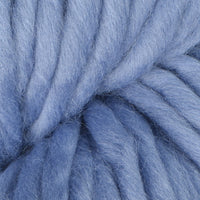 Blue Heron (0077)
