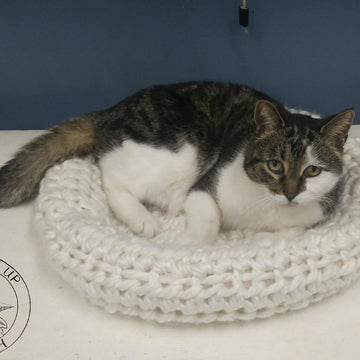 Hibernation Pad Pet Bed
