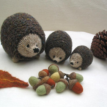 Little oddment hedgehog