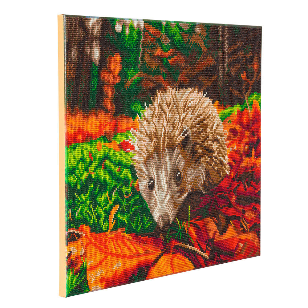 Crystal Art Hedgehog, 40x50cm Diamond Painting Kit