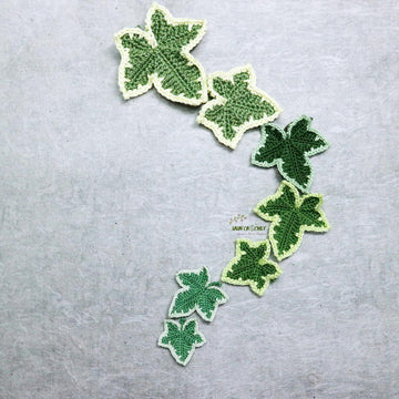 Variegated ivy leaves
