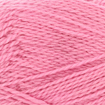Ballet Rose (21)