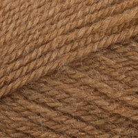 Camel (1197)