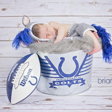 Newborn Horse Set