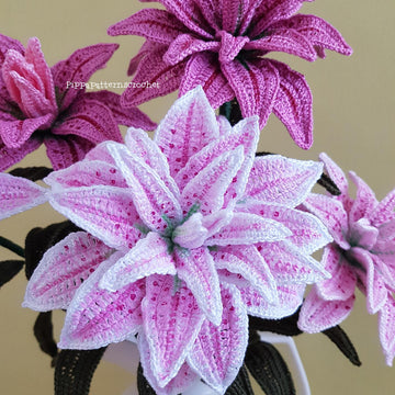 Rose Lily