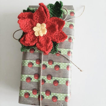 Red Poinsettia
