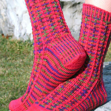 Family Festivities Socks
