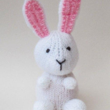 April Bunny Chocolate Orange Cosy