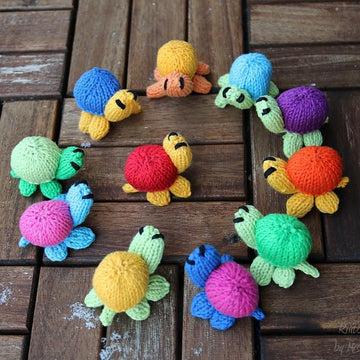 Mini-Turtle
