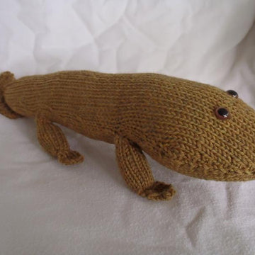 Tiktaalik Mr. T