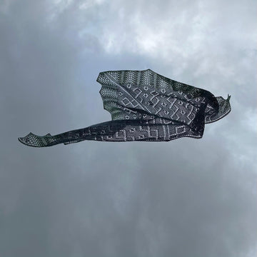 Draig y môr